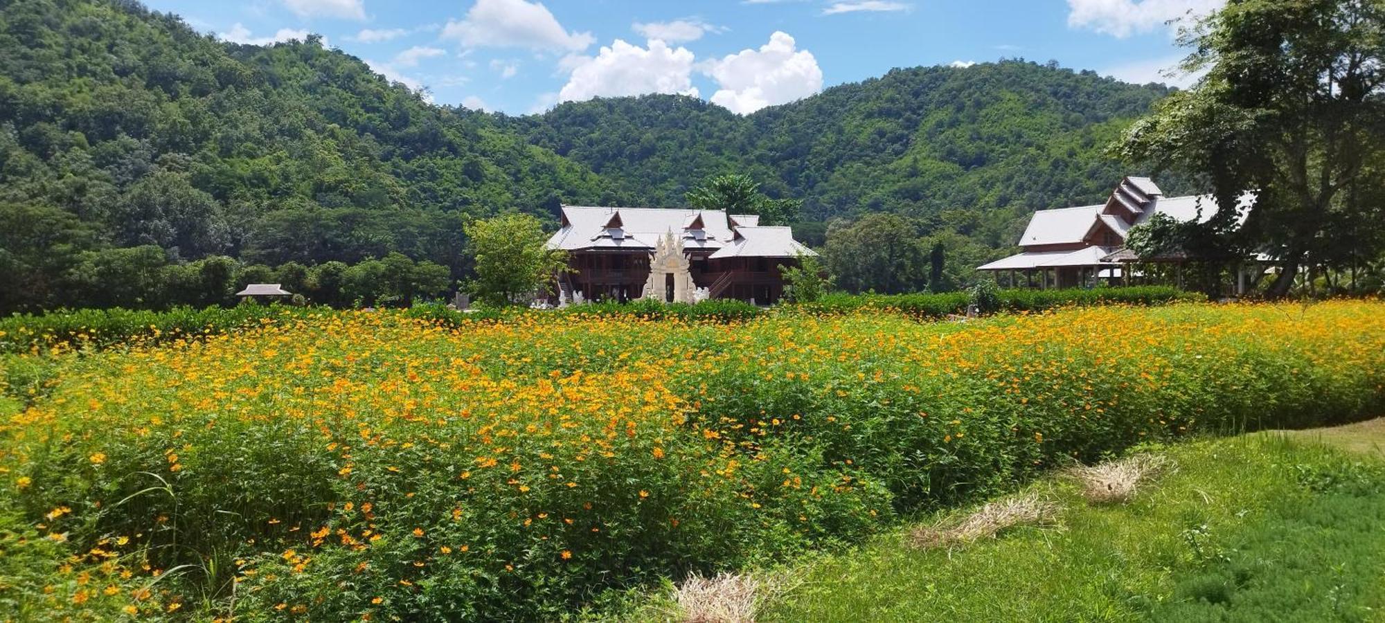 La Villa De Madame Su Chiang Mai Bagian luar foto