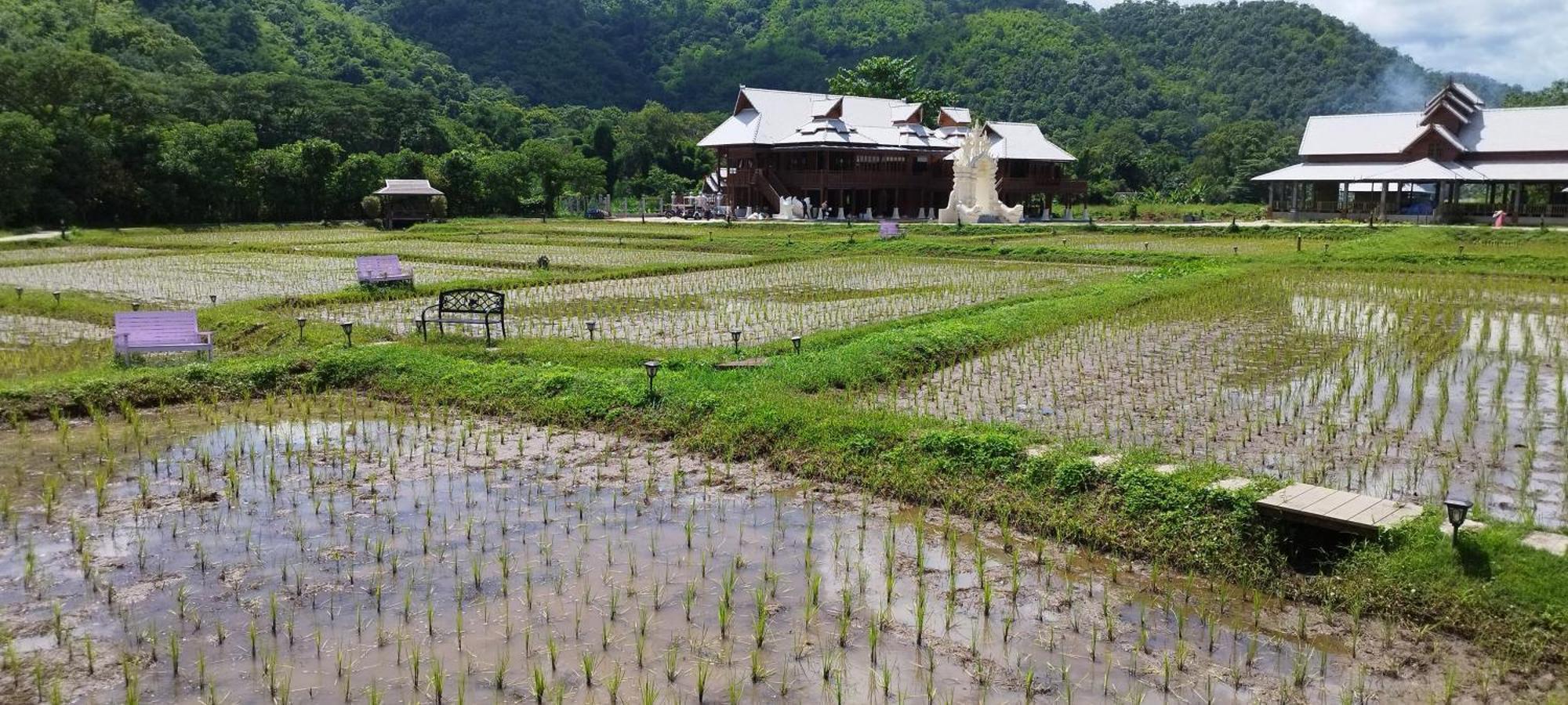 La Villa De Madame Su Chiang Mai Bagian luar foto